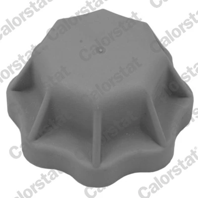 Cap, coolant tank